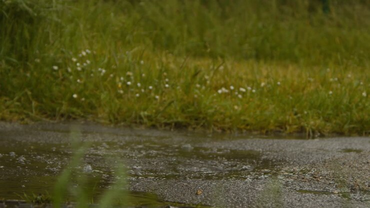 Primer plano de mujer haciendo ejercicio para mantenerse en forma corriendo bajo la lluvia salpicando en un charco 2