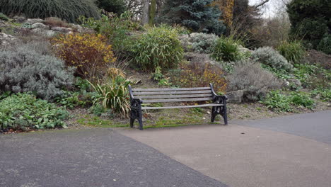 wide shot of an empty park bench