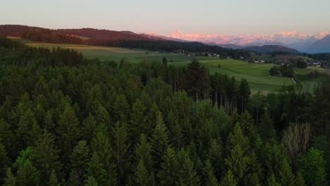 aerial of forest and swiss mountains at dusk