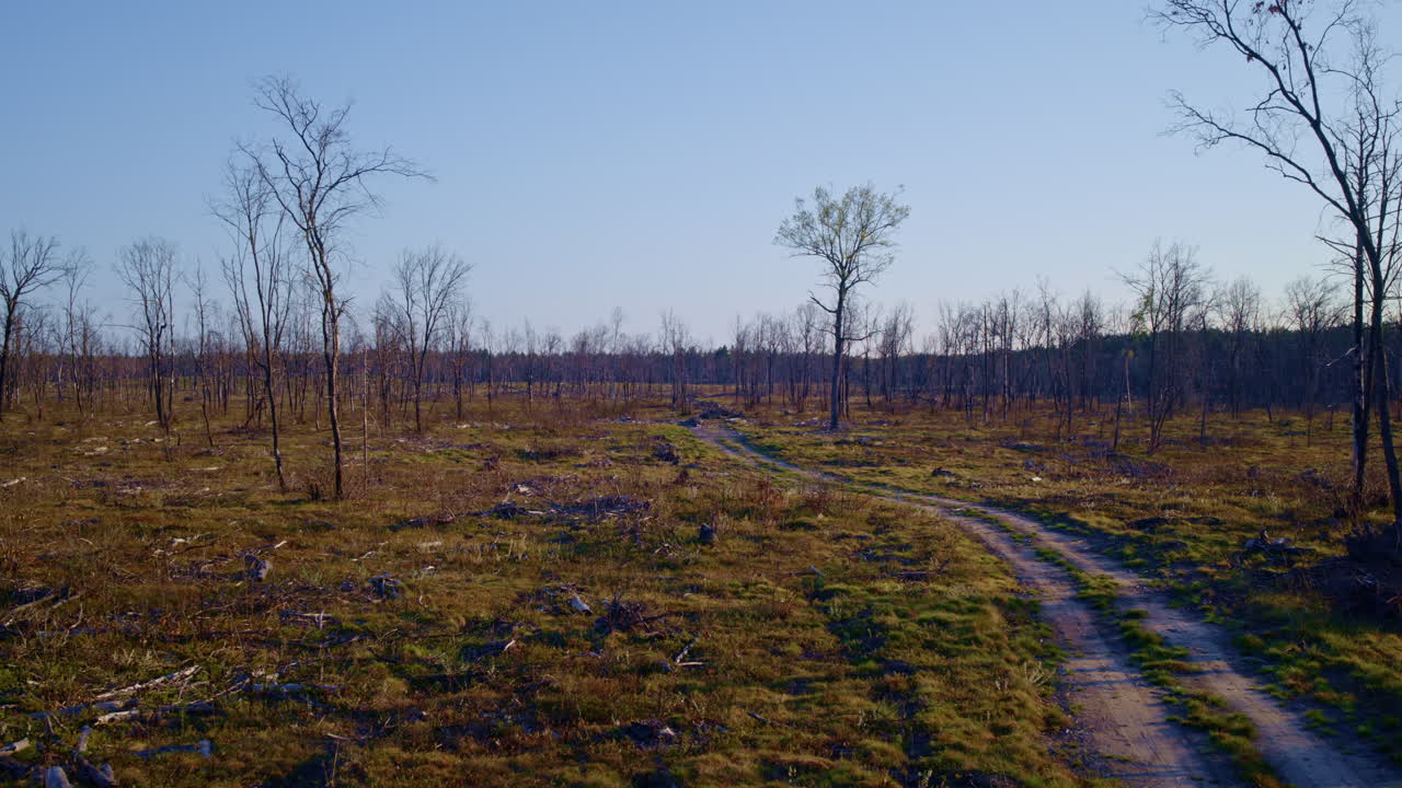 visuales aéreos de drones de un bosque oscurecido por el fuego.