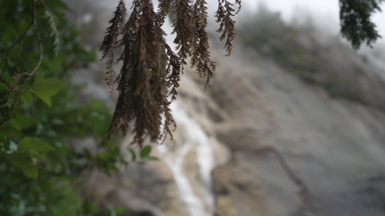 Tree Foliage Revealed Waterfalls At Shannon Falls Provincial Park In British Columbia, Canada