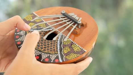 a close up of a kalimba, also known as a thumb piano or mbira. african trdicional instrument.