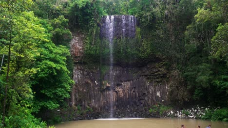 panning shot of millaa millaa falls cairns, australia