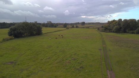 Storm-cloud,-summer-rain,-raindrops-at-horses-pasture-field-brandenburg