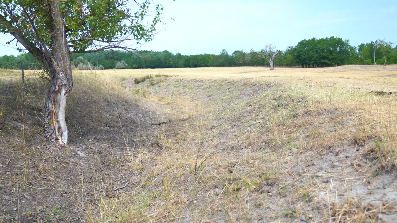 ⁇ 가리의 큰  ⁇ 의 오른쪽에서 왼쪽으로 추적 뷰 건조하고 가 ⁇ 으로 건조