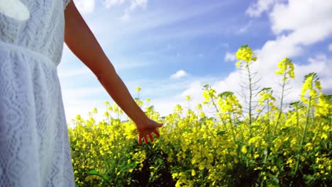 Mujer-Caminando-En-El-Campo-De-Mostaza-En-Un-Día-Soleado.