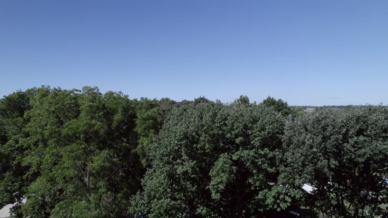 aerial drone rise over house, trees, lake