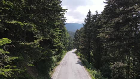 Aerial-View-Forest-Asphalt-Road