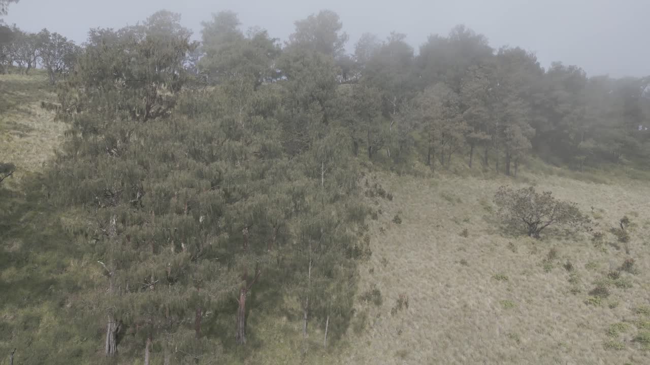 montaña lawu java central indonesia-9