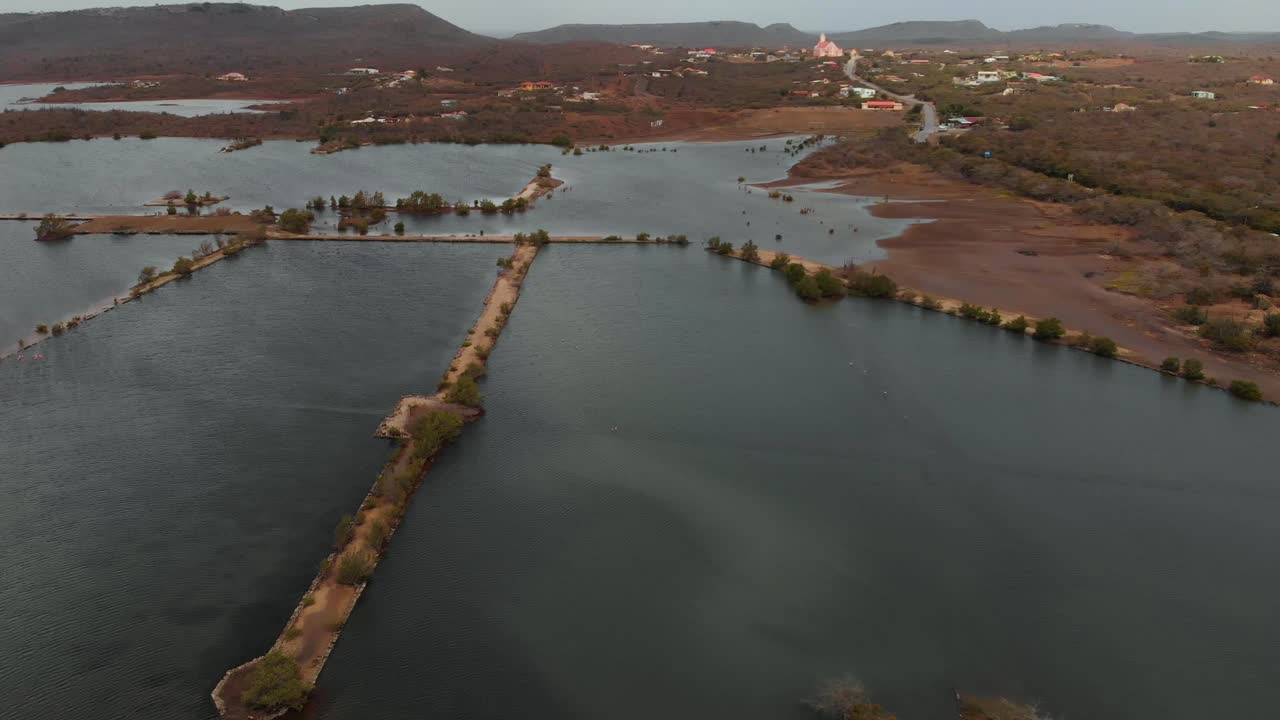 un lago salado con flamencos vadeando las aguas en curacao