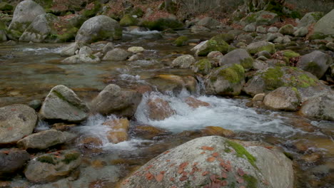 Herbstfluss-Im-Bergwald-In-Zeitlupe-Mit-Gelben-Und-Roten-Laubbäumen