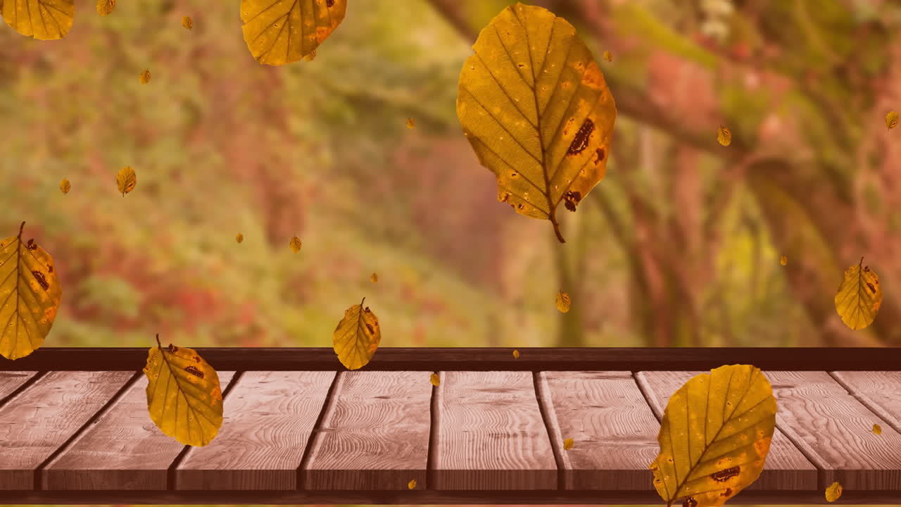 animación de hojas de otoño que caen sobre árboles y superficie de madera