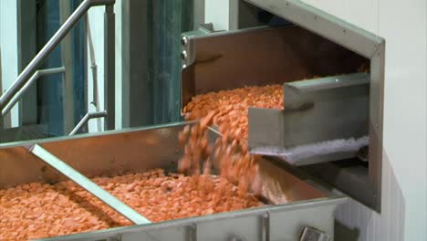 food sorting machine, sorting frozen carrots before packaging