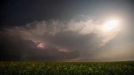 time-lapse. beautiful thunderstorm with clouds, lightning and moon over a field with sunflowers at night.