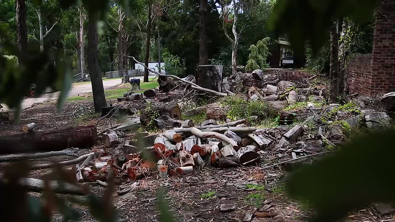 wood that has been chopped