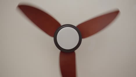 modern ceiling fan with wooden blades spinning, view from below