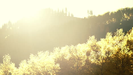 Valley-with-autumn-trees-among-the-mountains-lit-by-the-sun-at-sunset