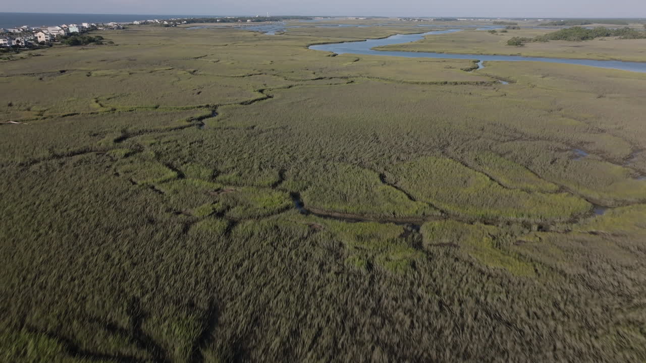 Aerial view of a salt marsh with waterways