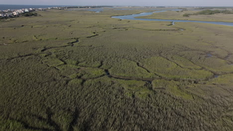aerial view of a salt marsh with waterways