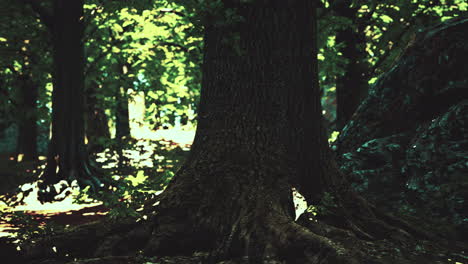 asian tropical rainforest with moss