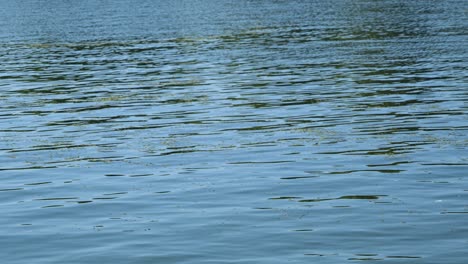 calm blue water surface