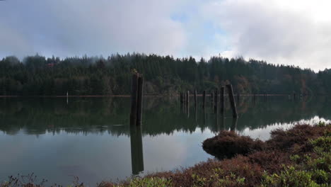 Bosques-Parados-En-El-Río-Coos-Con-Reflejos---Bahía-De-Coos,-Oregon-En-Un-Día-Nublado---Tiro-Lateral