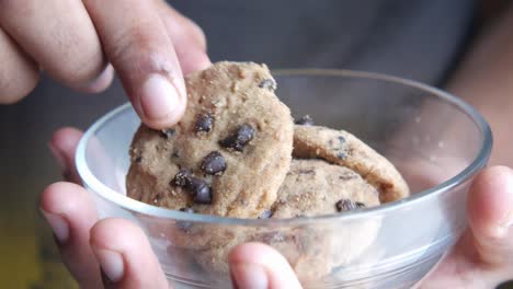 person eating chocolate chip cookies
