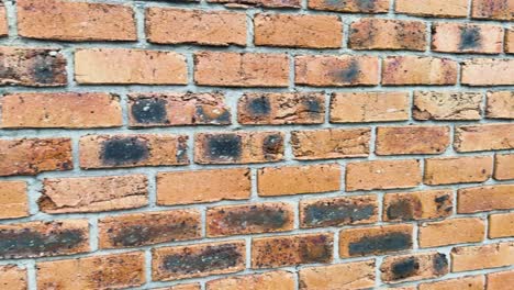 close up of a textured orange brick wall