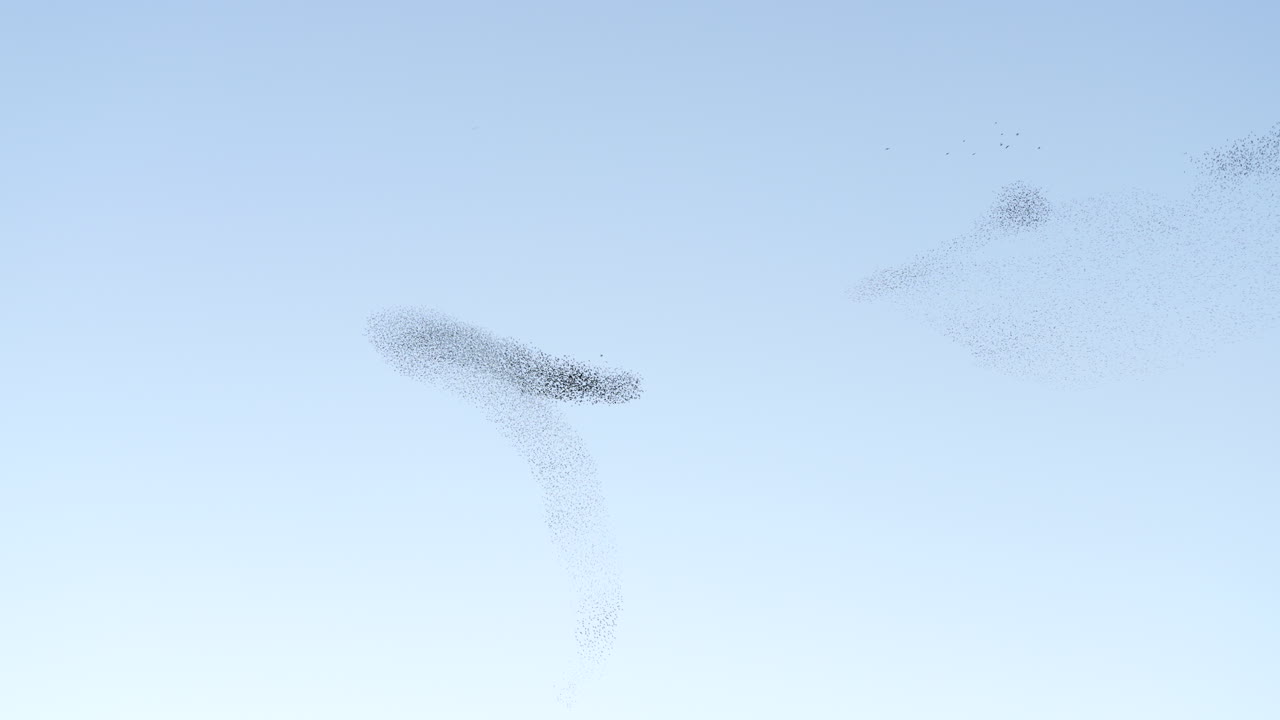 밝은 하늘을 배경으로 스터링의 속삭임