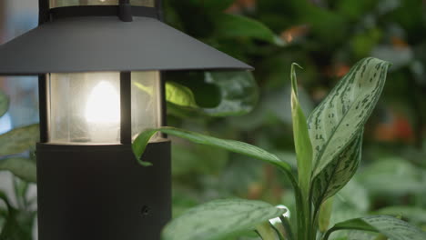 outdoor lamp illuminates lush green plants in tranquil garden setting, focusing on leafy details and soft ambient lighting, evoking calm and natural beauty