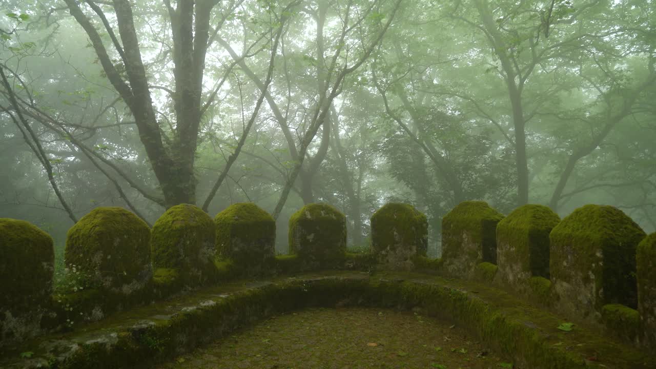 Mysterious Defensive Wall in Moors Castle Covered with Moss