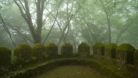 mysterious defensive wall in moors castle covered with moss