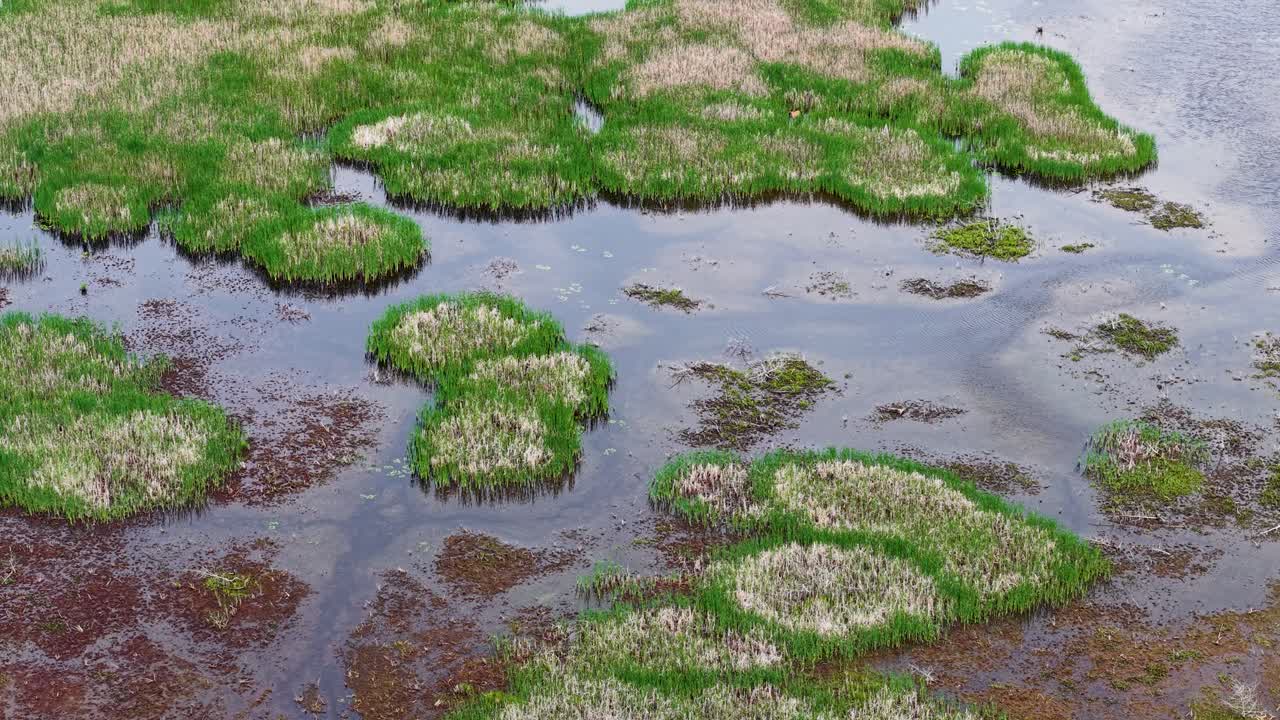 Aerial drone view of wetlands with grassy patches surrounded by shallow reflective water