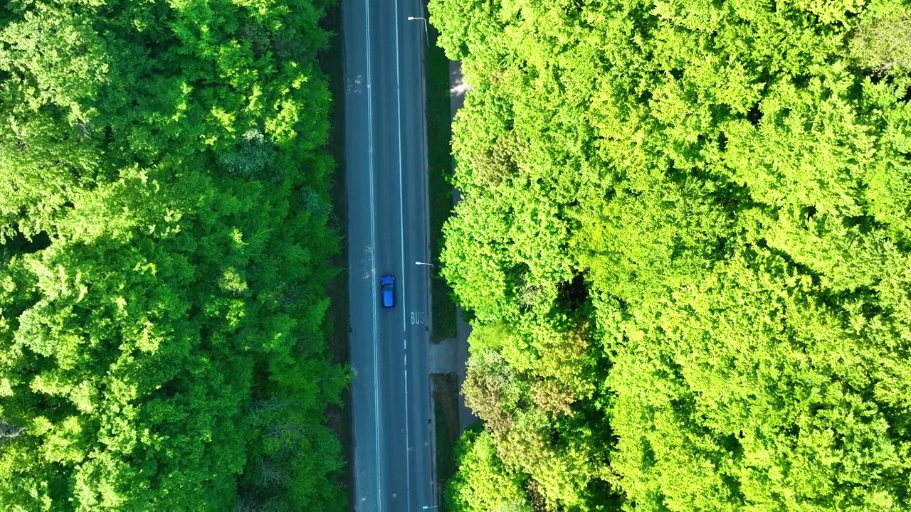 Ripresa aerea cinematografica dall'alto di un'auto in corsa su una strada asfaltata dritta, circondata da una fitta foresta verde. Perfetto per temi di viaggio, sostenibilità e natura.