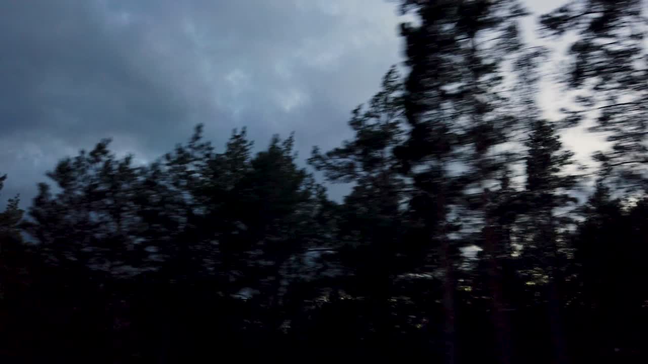 Dark forest and cloudy night sky, POV from car ride in Sweden