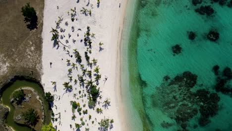 Drone-Aéreo-Ojo-De-Pájaro-Tiro-De-Playa-De-Arena-Cristalino-Descanso-Océano-Mar-Tropical-Vacaciones-Viaje-Turismo-Playa-De-San-Lorenzo-Siviri-Islas-Del-Pacífico-Vanuatu-4k