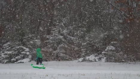 Kleiner-Junge-Läuft-Durch-Schnee-In-Richtung-Schneebedeckter-Weihnachtsbäume,-Während-Er-Schlitten-Zieht,-Sanft-Fallender-Schnee-In-Zeitlupe