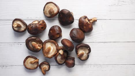 shiitake mushrooms on white wooden background