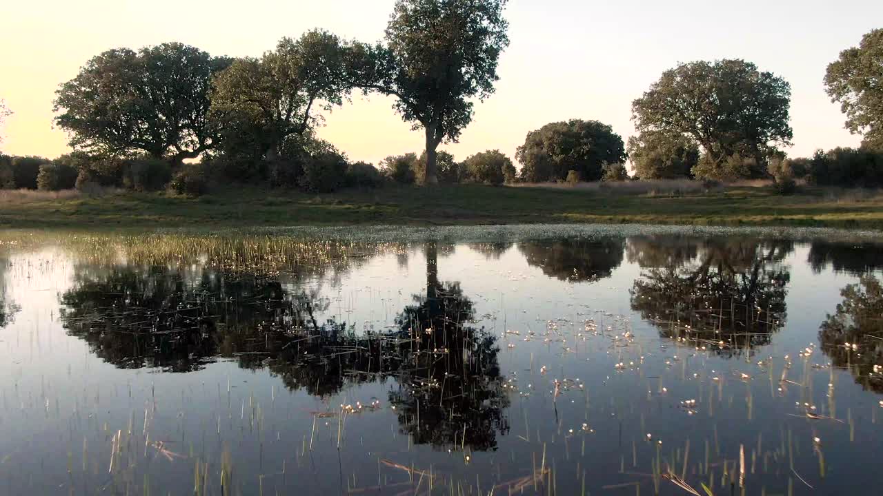 volando sobre el lago con drone españa