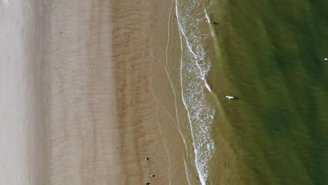a low top down shot over a beach