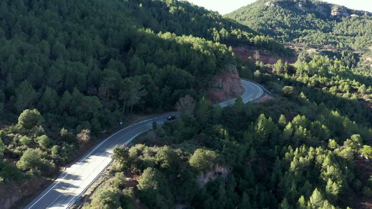 vista aérea siguiendo la conducción de automóviles deportivos bmw a través de un sinuoso camino arbolado