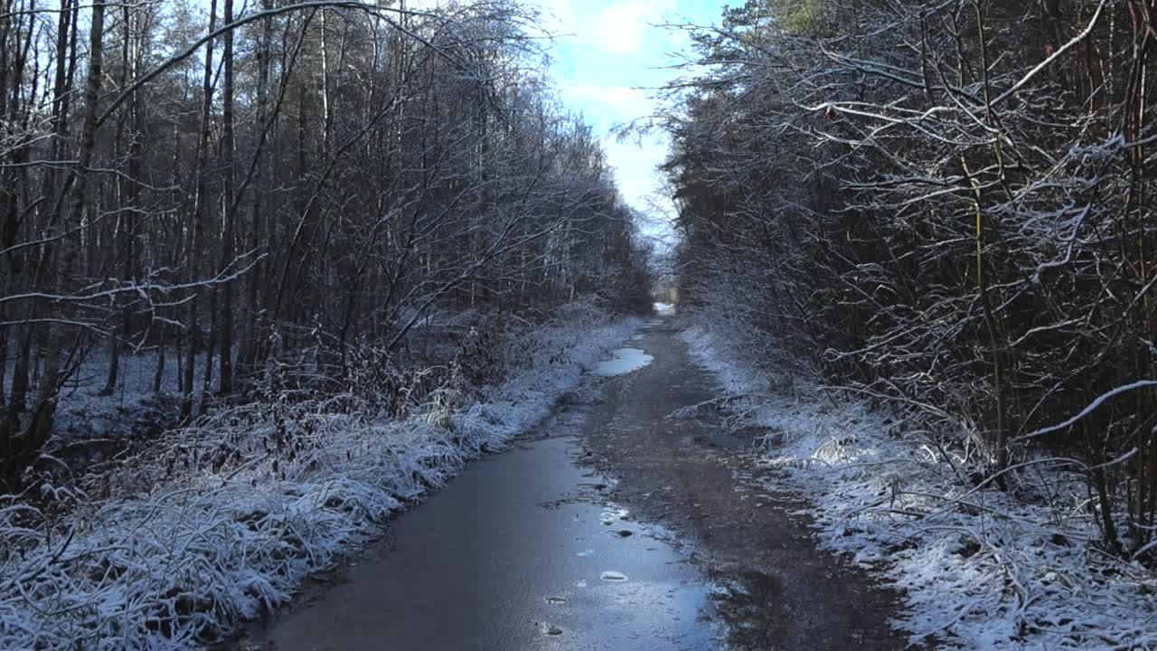 냉동하고 얼어붙은 시골과 황폐한 진 어두운 숲의 도로 또는 길, 푸른 하늘에 태양이 빛나는 동안 아름다운 두꺼운  눈으로 여있는 길 에 높은 풀과 나무.