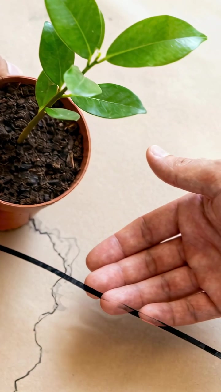 Vertical video: Entering hand sliding black strip under pot with cutting on table clearing space