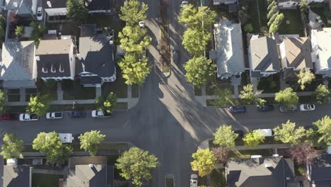 birds eye view fly over rise inverness suburb where theres an island in the center of the residential road with lush high trees during a summer sunrise at the southeast side of calgary alberta 3-5