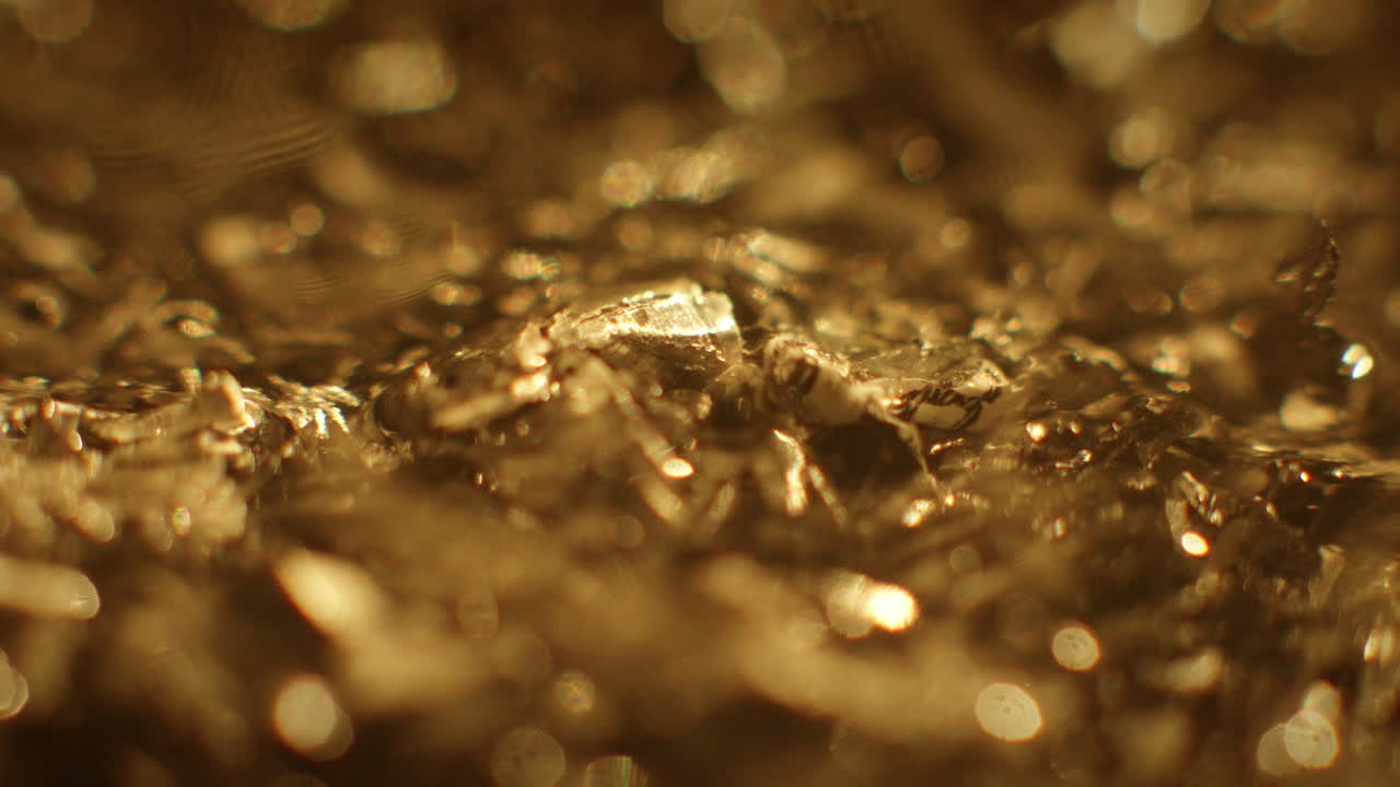 Golden color metal fillings close-up