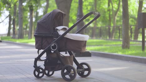 empty baby carriage in park, prohibition of abortion, women's health, fertility