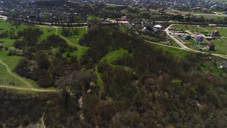 aerial view of a rural landscape with village and forest