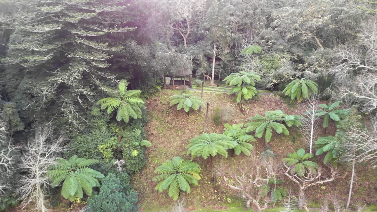 hermoso parque natural, lago y bosque