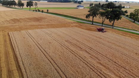 Aerial-View-Of-Combine-Harvester-Gathers-The-Golden-Wheat-Crop-On-Farmland-In-4K