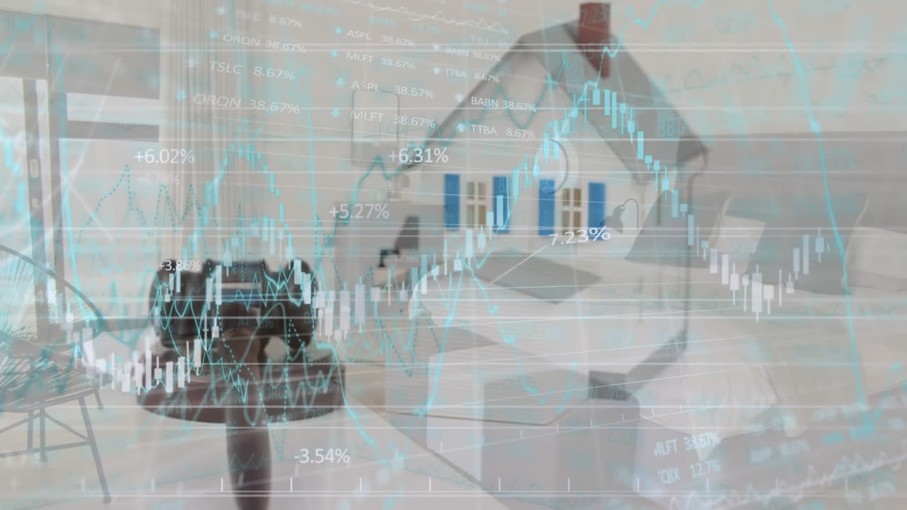 재무 데이터 처리의 애니메이션 오버 하우스 모델